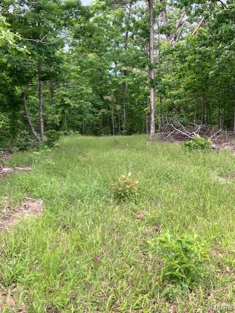 238 Madison CR 410, Fredericktown MO — Photo 1