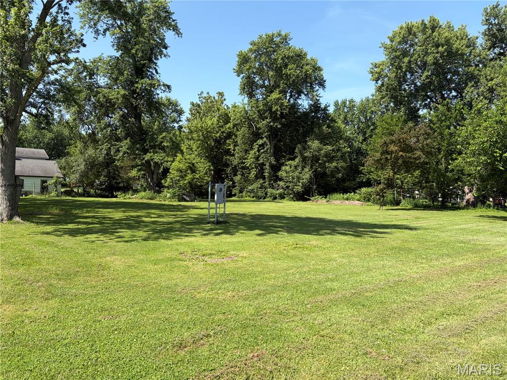 1005 Montgomery Avenue, Litchfield IL — Photo 1