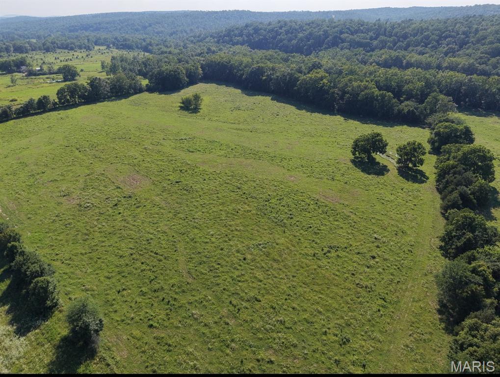 0 U.S Highway 67, Fredericktown MO — Photo 1