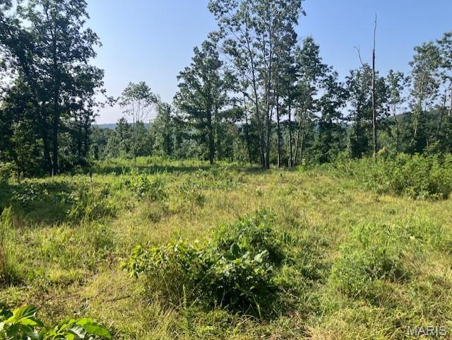 132 Madison CR 410, Fredericktown MO — Photo 1