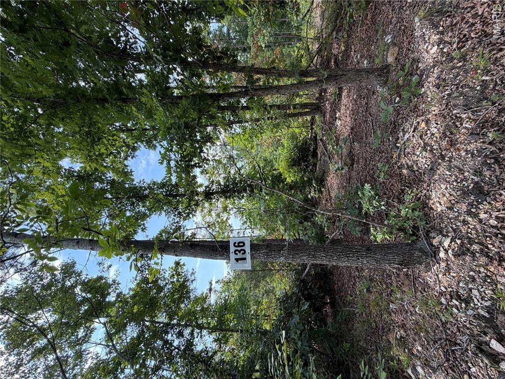 #136 Madison 410, Fredericktown MO — Photo 1