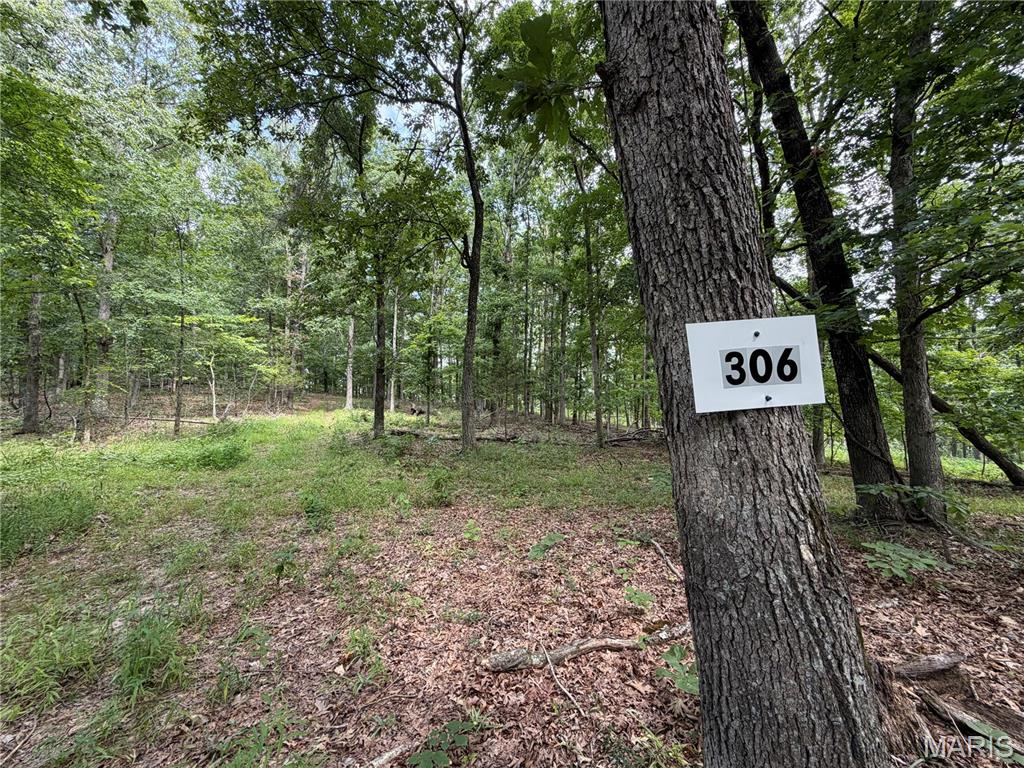 #306 Madison 410, Fredericktown MO — Photo 1