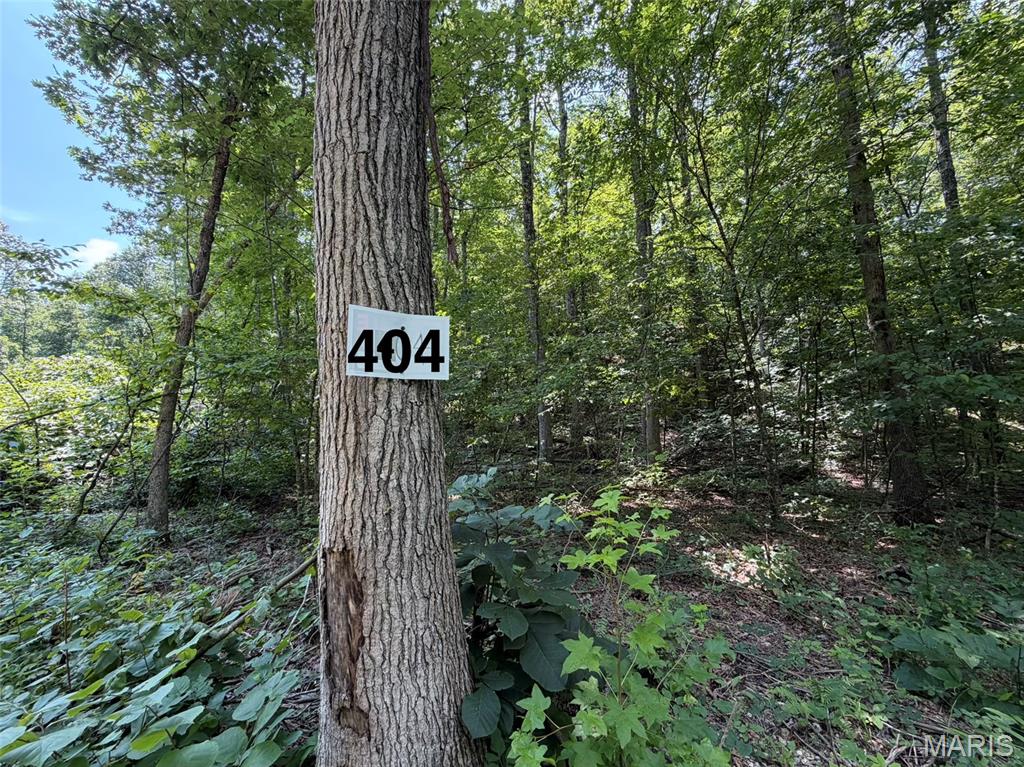 #404 Madison 410