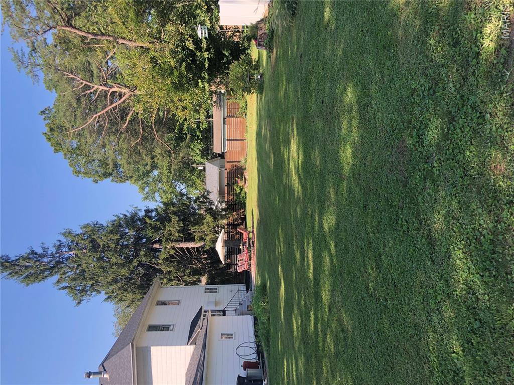 Photo 46