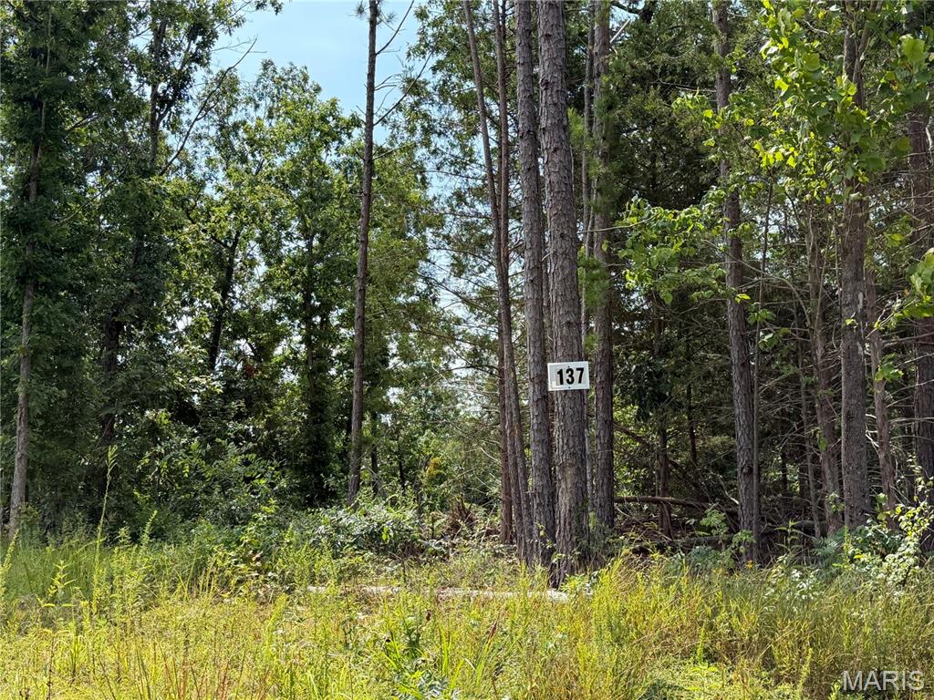 #137 Madison 410, Fredericktown MO — Photo 1