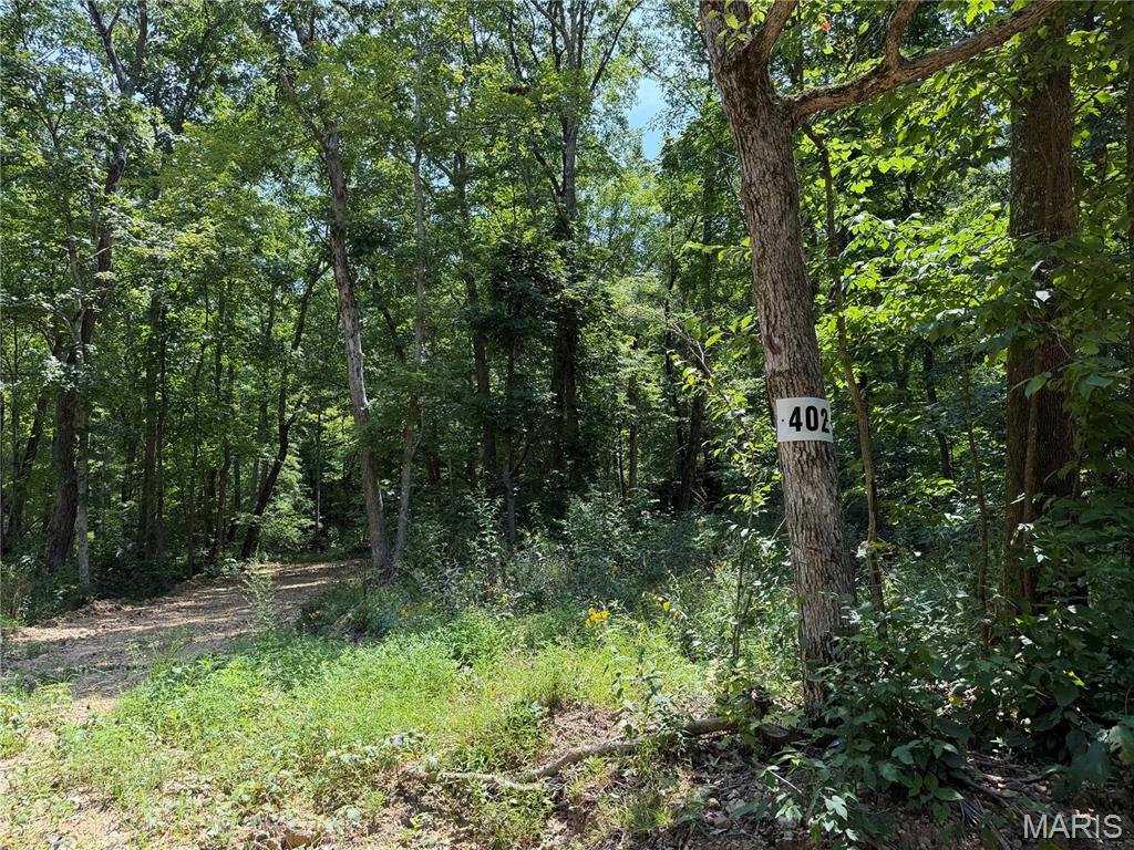 #402 Madison 410, Fredericktown MO — Photo 1