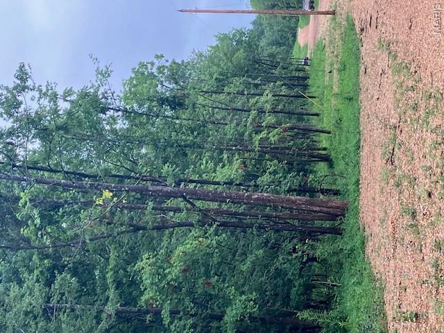 73 Madison CR 410, Fredericktown MO — Photo 1