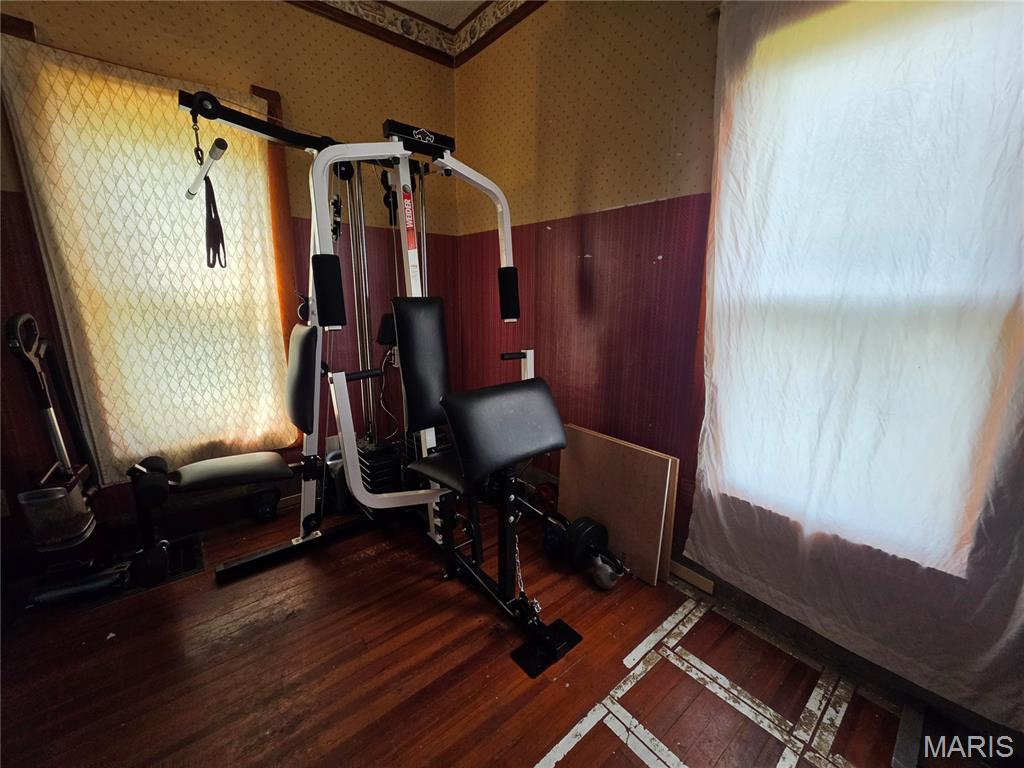 Photo 19