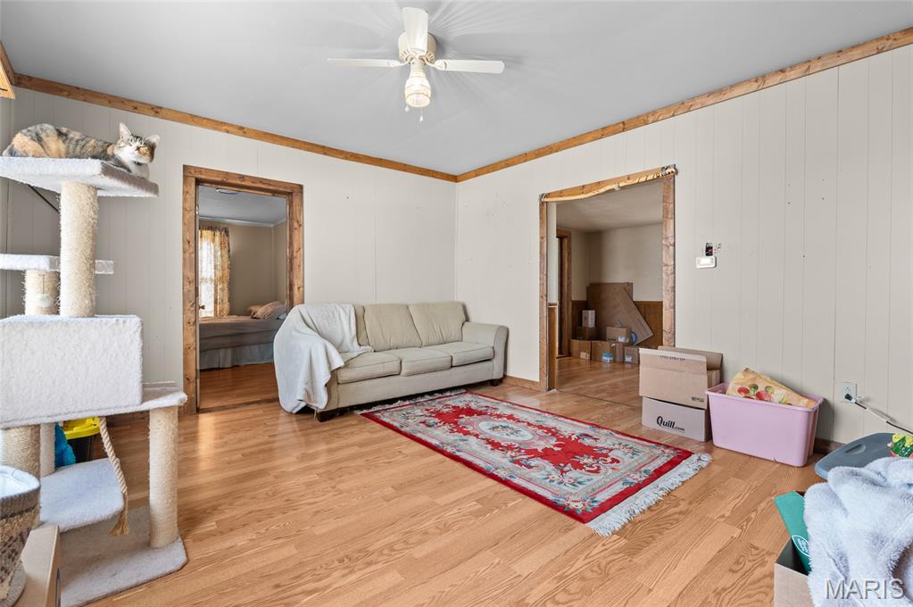 Photo 6