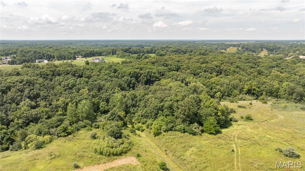Tract 3 Garnet Road, Carlinville IL — Photo 1
