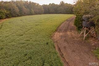 00 Abbott Road, Bellflower MO — Photo 1