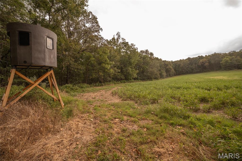 00 Abbott Road, Bellflower MO — Photo 1
