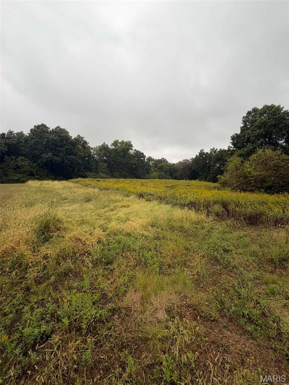 20785 Oak Rest Road, Brighton IL — Photo 1