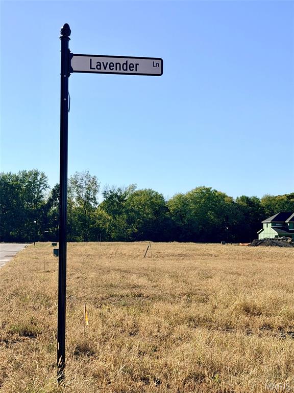 1100 & 1102 Lavender Lane, Litchfield IL — Photo 1