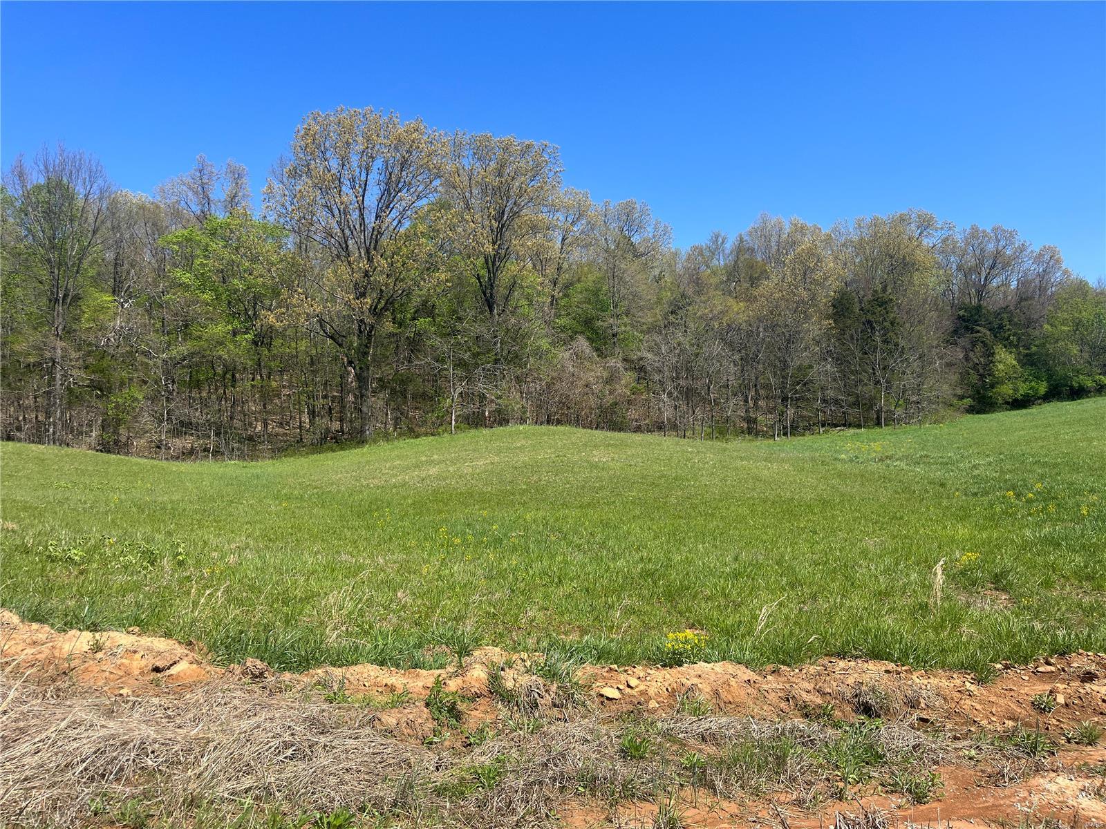 5 Cr 528, Fredericktown MO — Photo 1