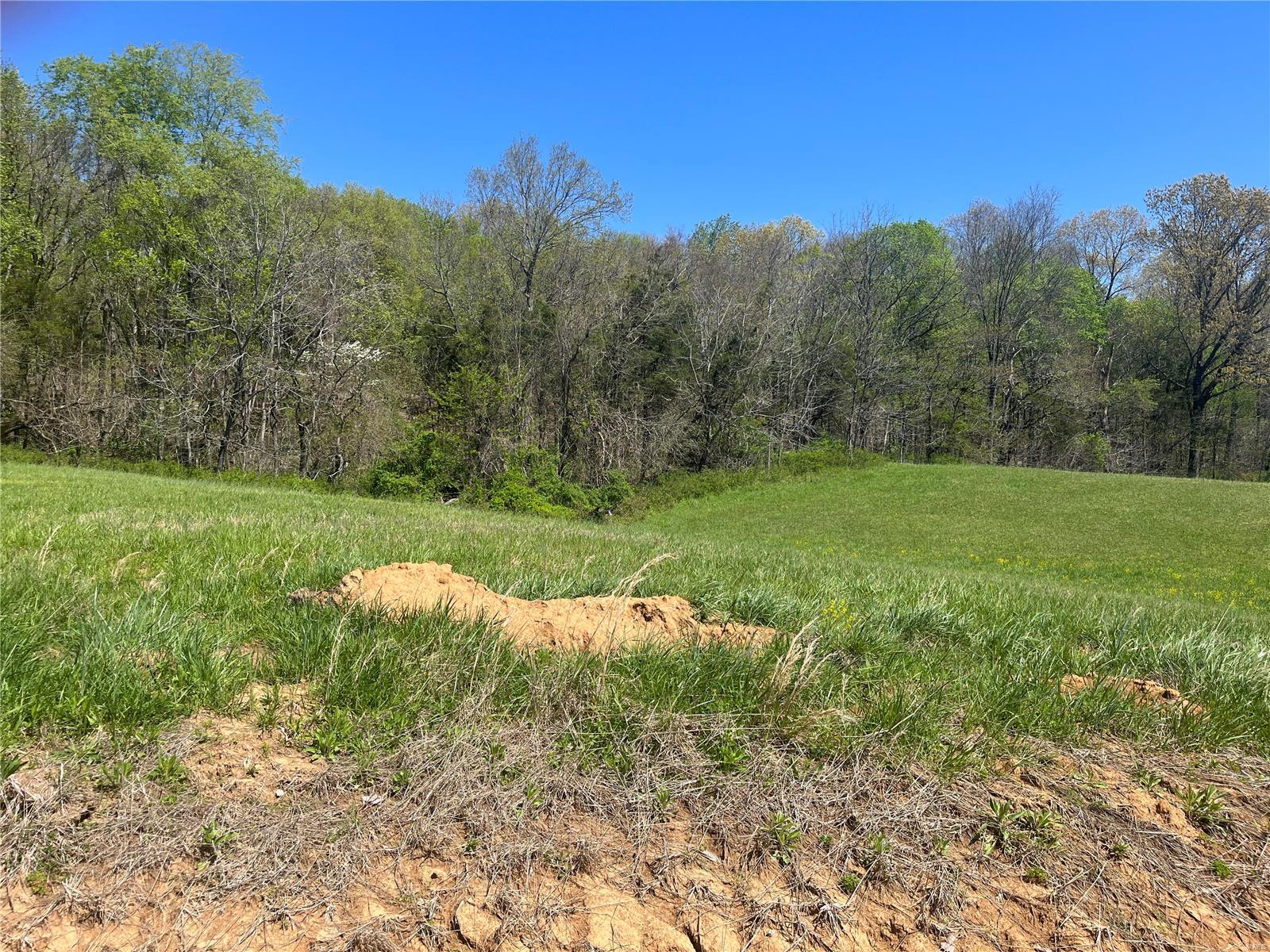 6 Cr 528, Fredericktown MO — Photo 1