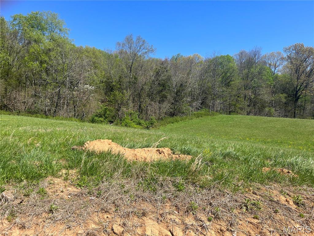 6 Cr 528, Fredericktown MO — Photo 1
