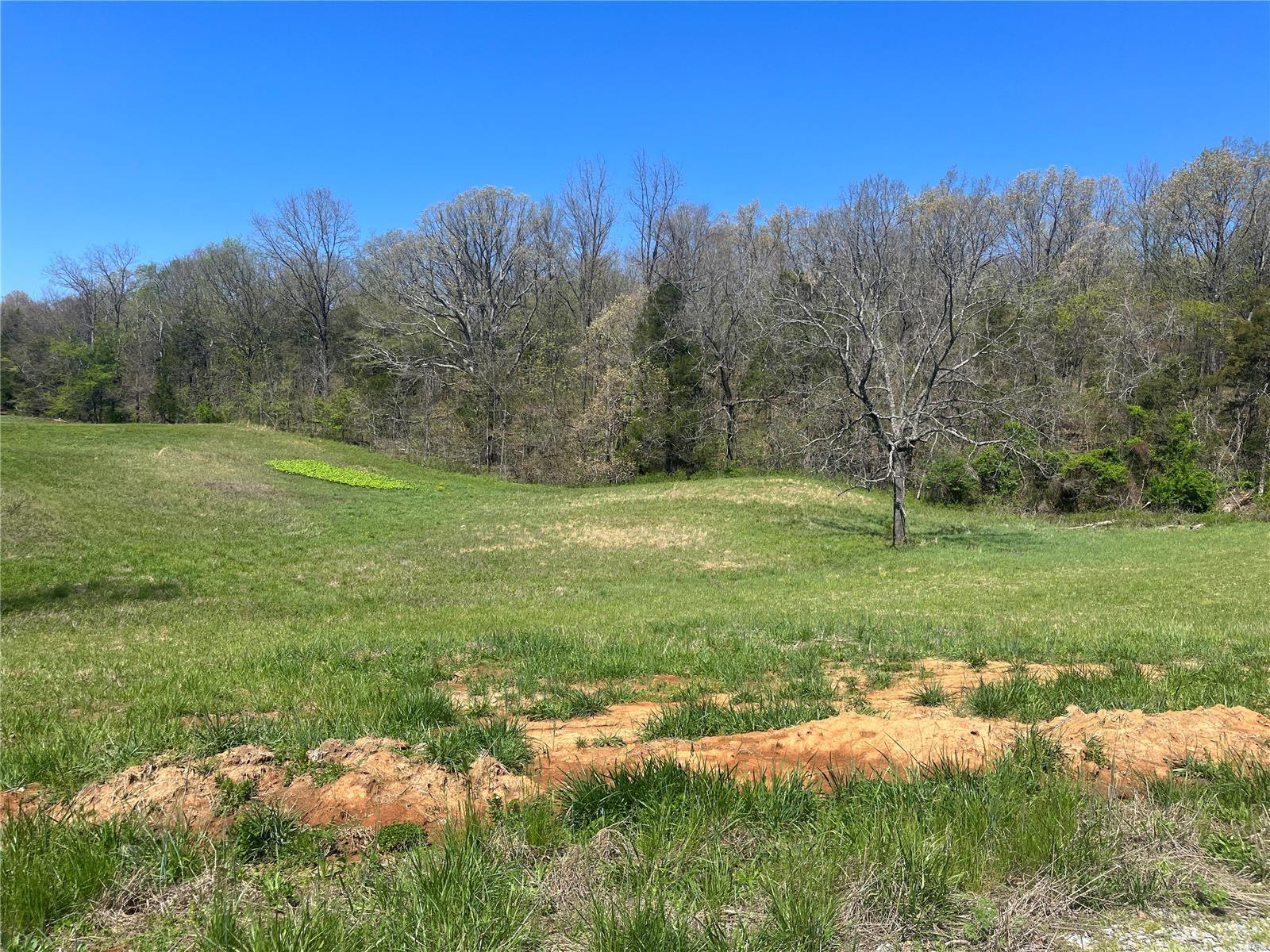 8 CR 528, Fredericktown MO — Photo 1