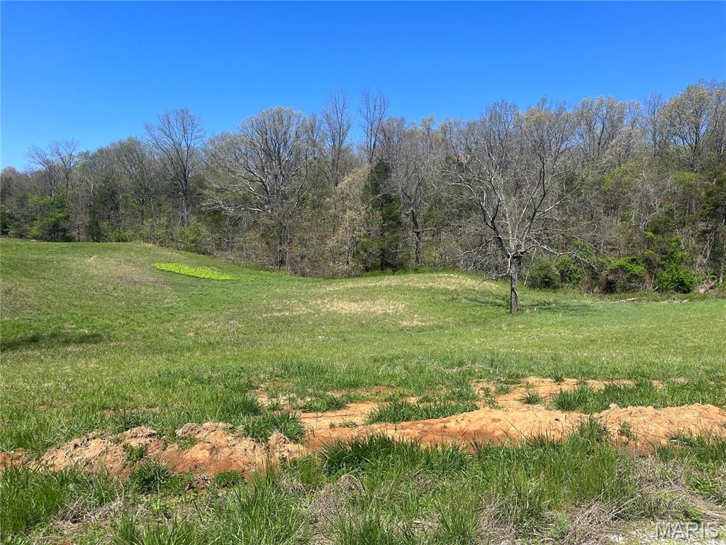 8 CR 528, Fredericktown MO — Photo 1