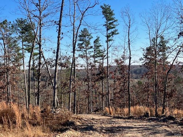 60 Madison CR 410, Fredericktown MO — Photo 1