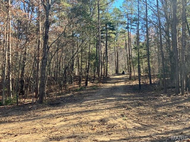 61 Madison CR 410, Fredericktown MO — Photo 1