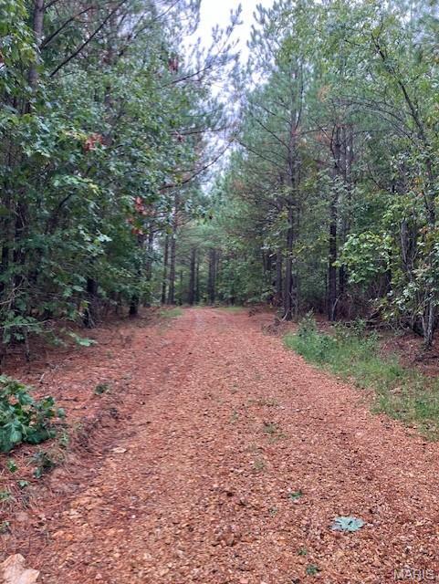 28 Madison CR 410, Fredericktown MO — Photo 1