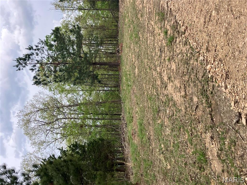 29 Madison CR 410, Fredericktown MO — Photo 1