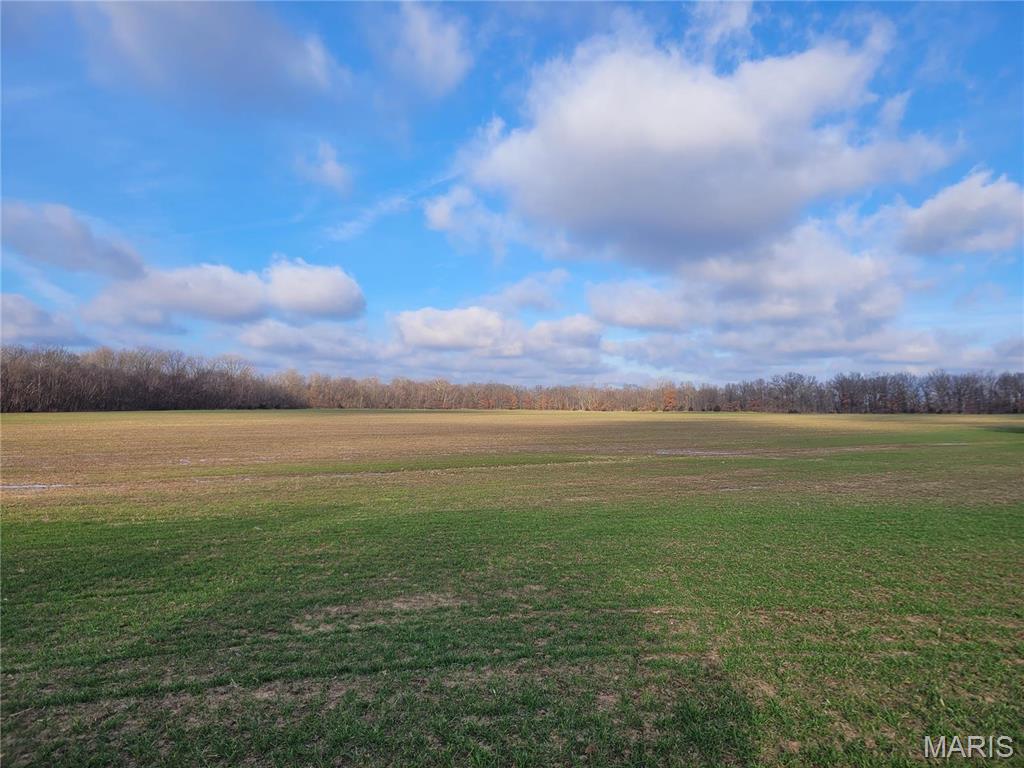 0 Bales Rd. (81.8+/- Acres), Middletown MO — Photo 1