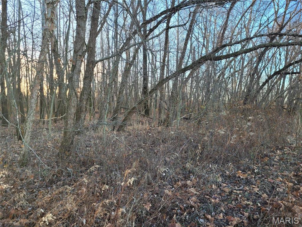 Photo 26