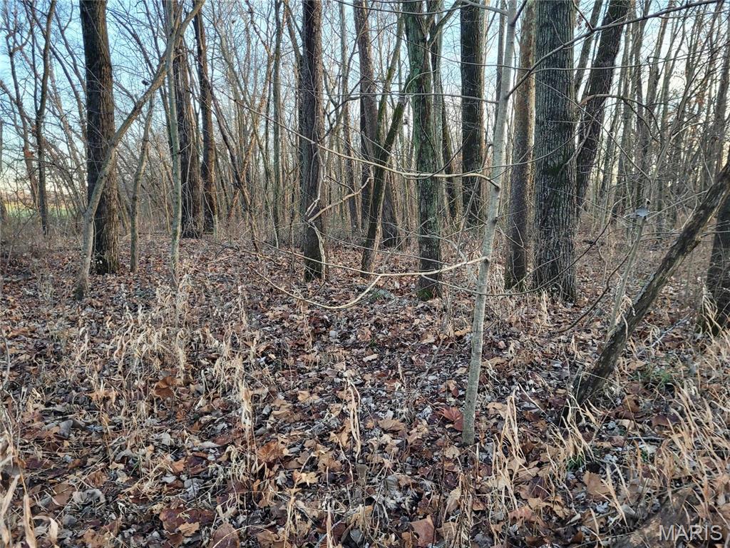 Photo 28