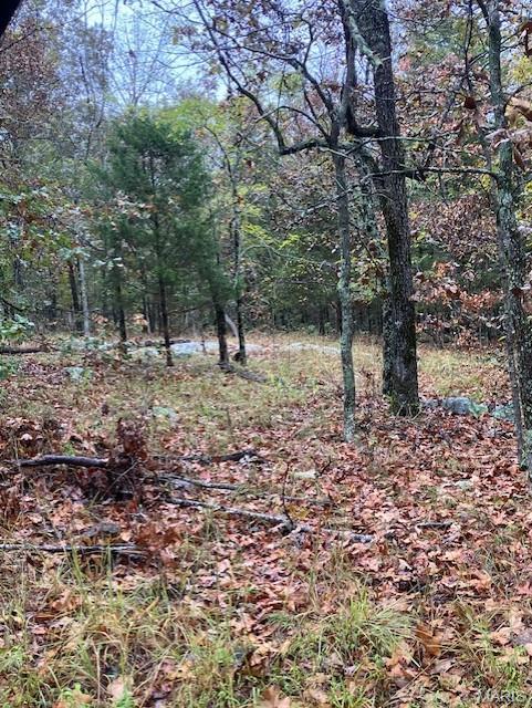 163 Madison CR 410, Fredericktown MO — Photo 1