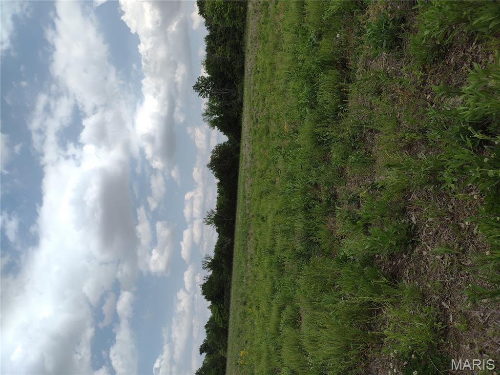 Photo 24